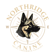 cropped 7ec205c2519ceb73a21d9c368104eab2.png